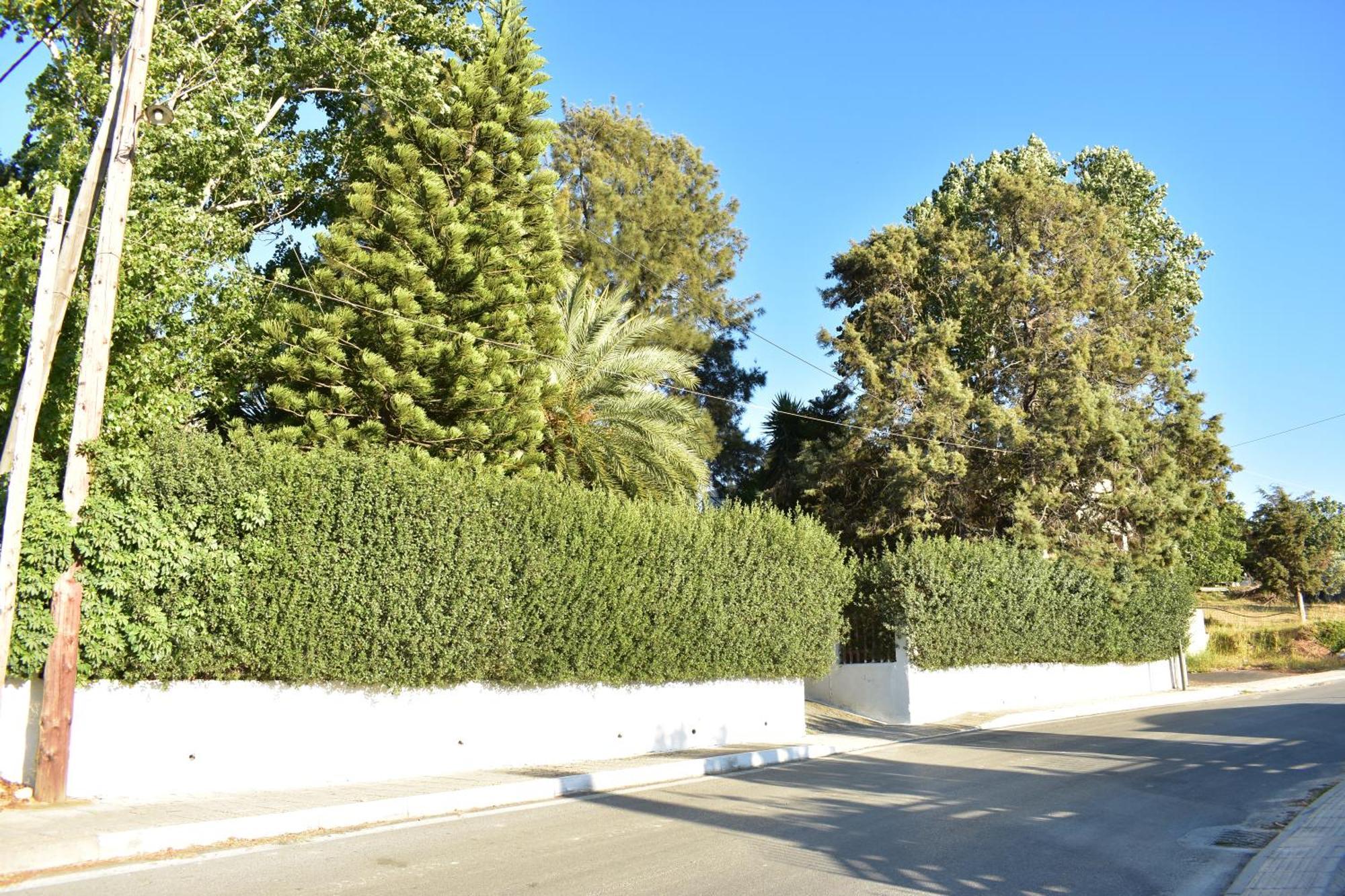 Νιrαsτεrο - The House In The Trees Kalloni (Crete) Exterior foto